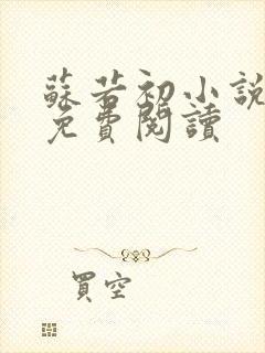 苏若初小说全文免费阅读封面