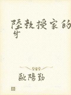 陆教授家的小月牙
