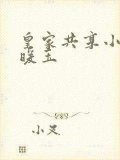 皇家共享小公主暖玉