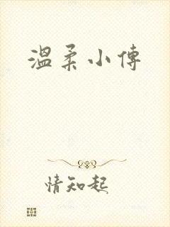 温柔小传封面