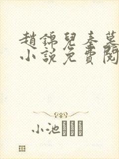 赵锦儿秦慕修的小说免费阅读全文封面