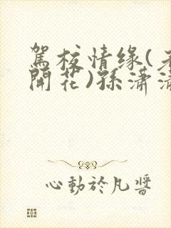 驾校情缘(老树开花)孙潇潇第一次趣笔阁封面