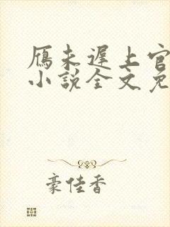 雁未迟上官穿越小说全文免费阅读
