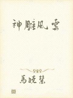 神雕风云