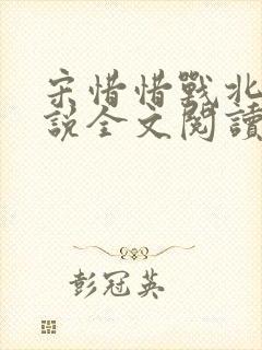 宋惜惜战北望小说全文阅读