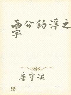 两公的浮之手中字封面