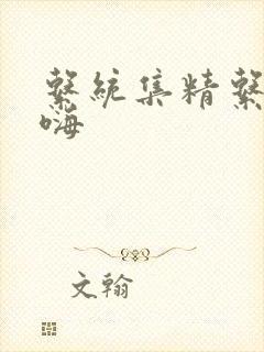 系统集精系统高嗨封面