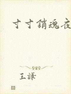 寸寸销魂夜春光