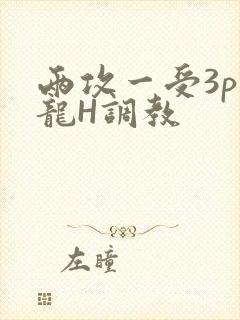 两攻一受3p双龙H调教