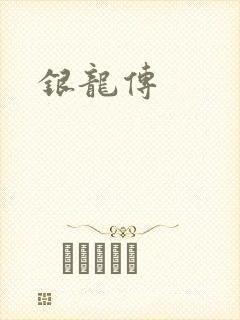 银龙传封面