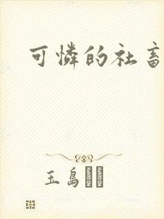 可怜的社畜小说