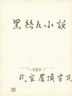 黑丝h小说