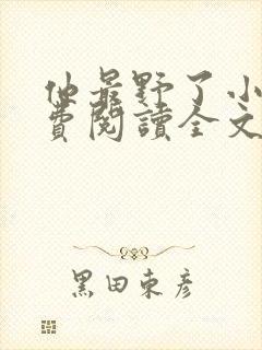 他最野了小说免费阅读全文封面
