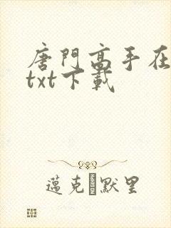 唐门高手在异世txt下载