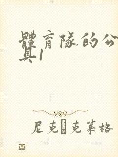 体育队的公用玩具1