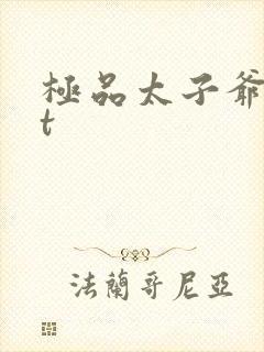 极品太子爷txt