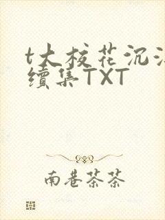 t大校花沉浮录续集TXT