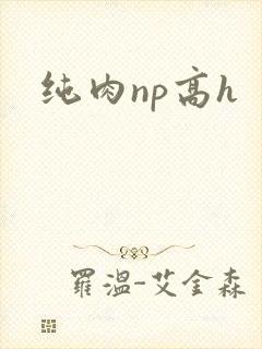 纯肉np高h
