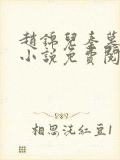 赵锦儿秦慕修的小说免费阅读全文