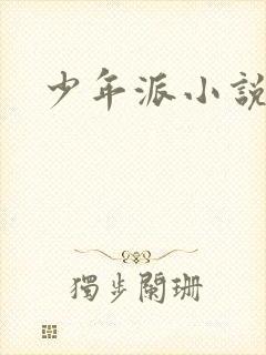 少年派小说封面
