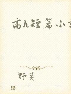 高h短篇小说