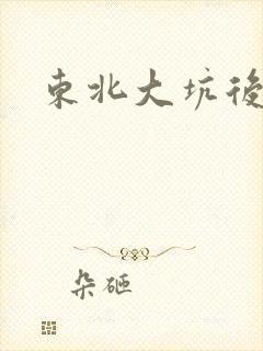 东北大坑后续2