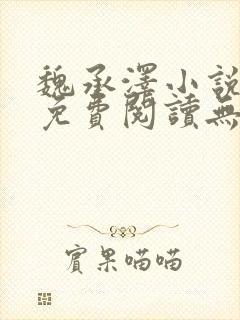 魏承泽小说全文免费阅读无弹窗笔趣封面
