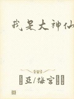 我是大神仙小说