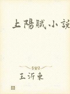 上阳赋小说