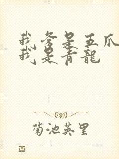 我爹是五爪金龙我是青龙封面