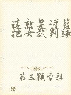 这就是灌篮球员把女裁判睡了封面