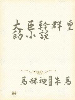 大臣干群皇太后的小说