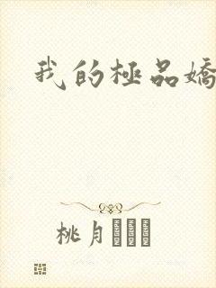 我的极品娇妻