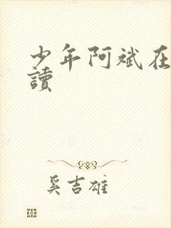 少年阿斌在线阅读