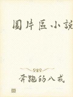 图片区小说区封面
