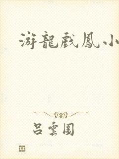 游龙戏凤小说