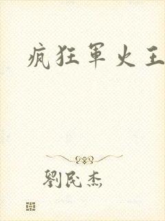 疯狂军火王封面