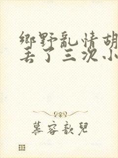 乡野乱情胡秀英丢了三次小说封面