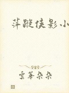 萍踪侠影小说