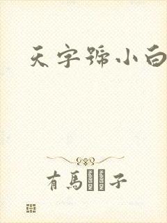 天字号小白脸