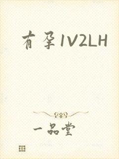 有孕1V2LH