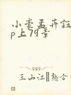 小豪孟卉钰慧三p上79章