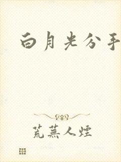 白月光分手日常