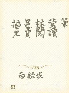 插足林莺笔趣阁免费阅读封面
