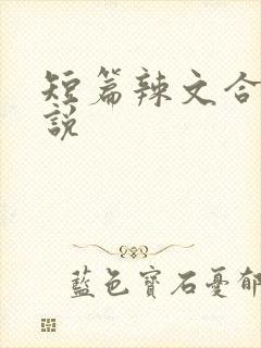 短篇辣文合集小说封面