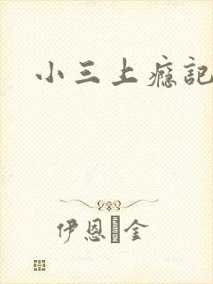 小三上瘾记封面