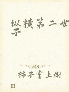 纵横第二世界宽子