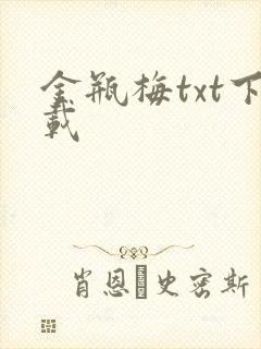 金瓶梅txt下载
