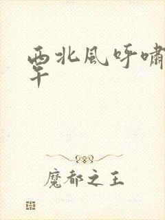 西北风呼啸的中午