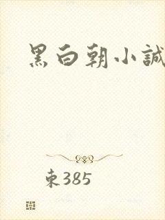 黑白朝小诚